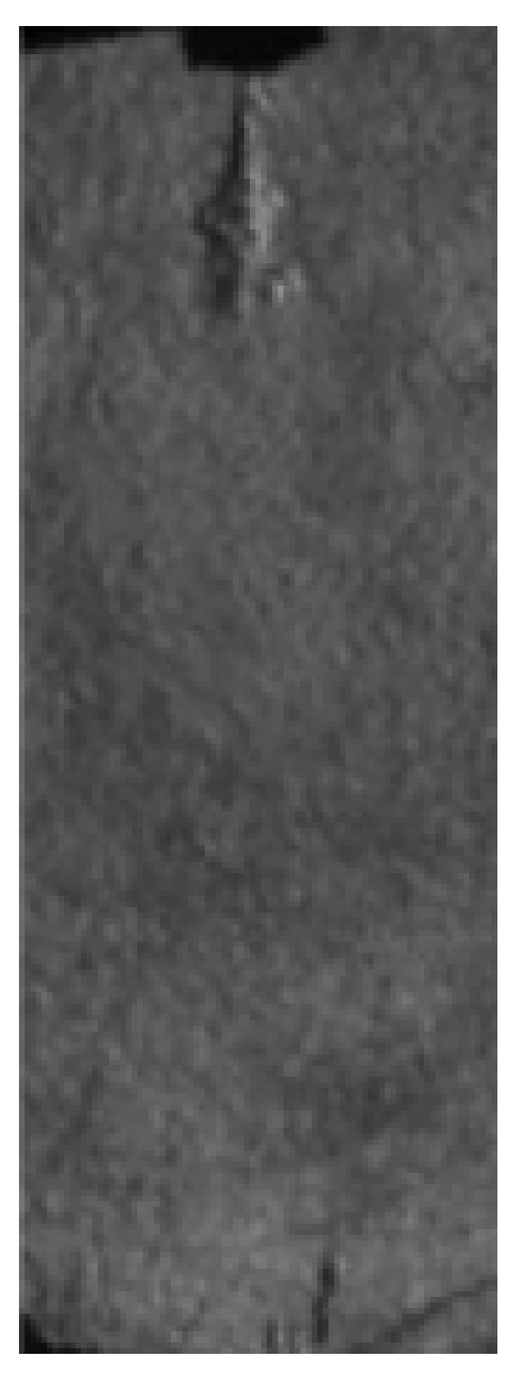 Applsci 14 11317 i002