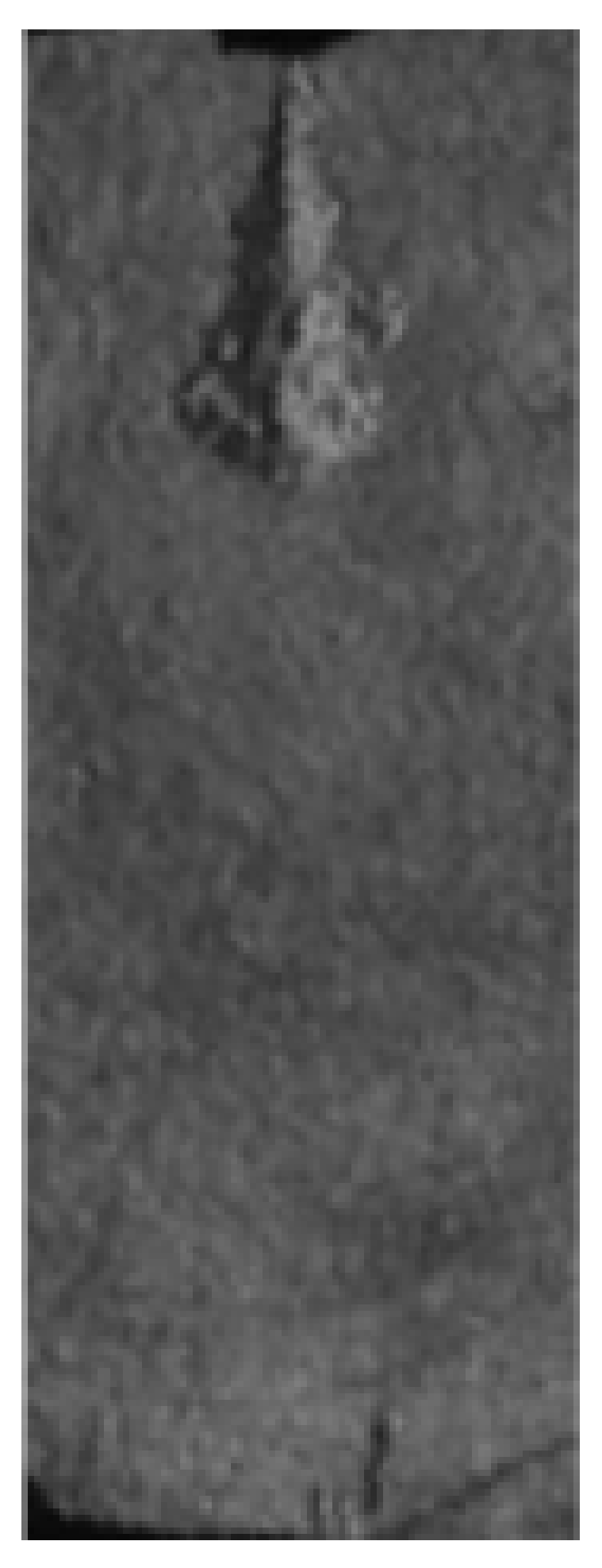 Applsci 14 11317 i004