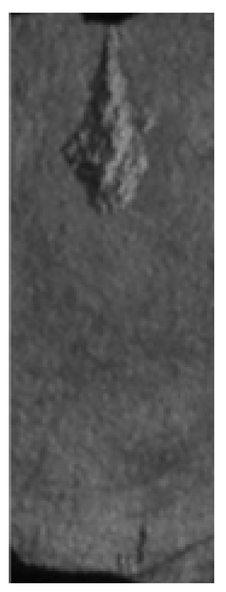 Applsci 14 11317 i005