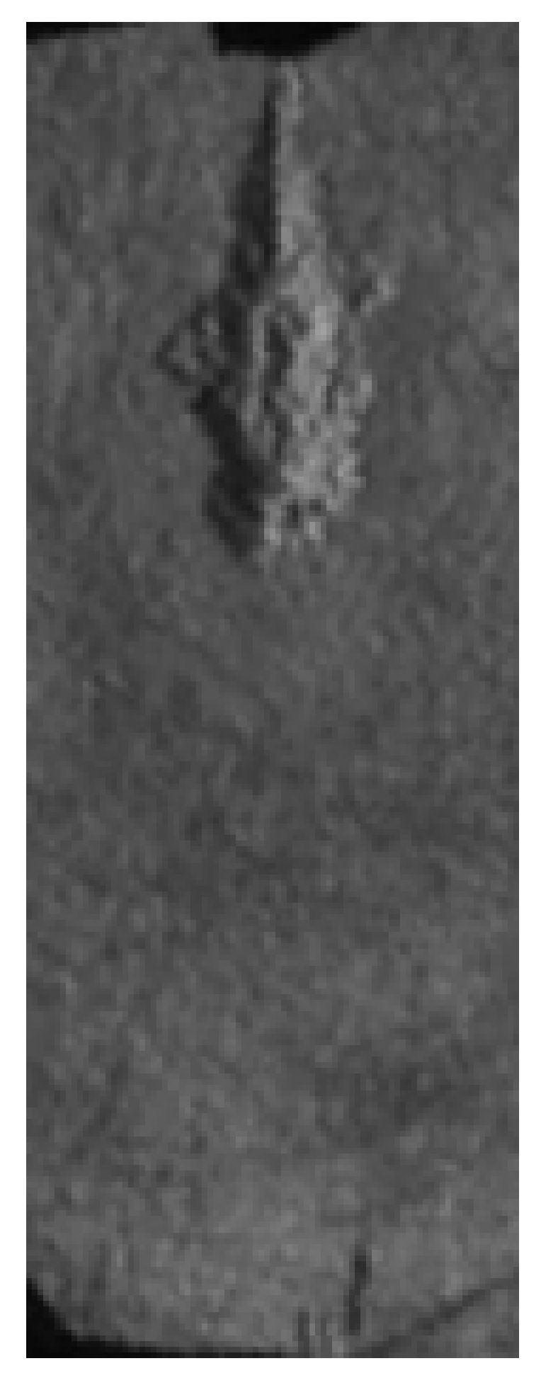 Applsci 14 11317 i006