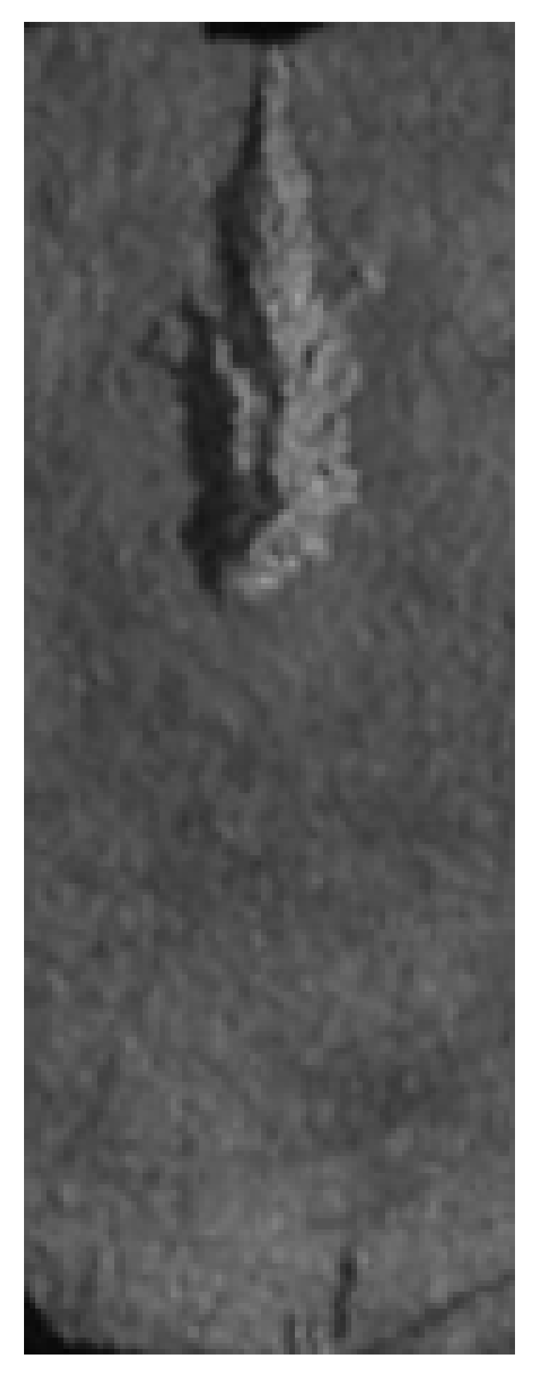 Applsci 14 11317 i007