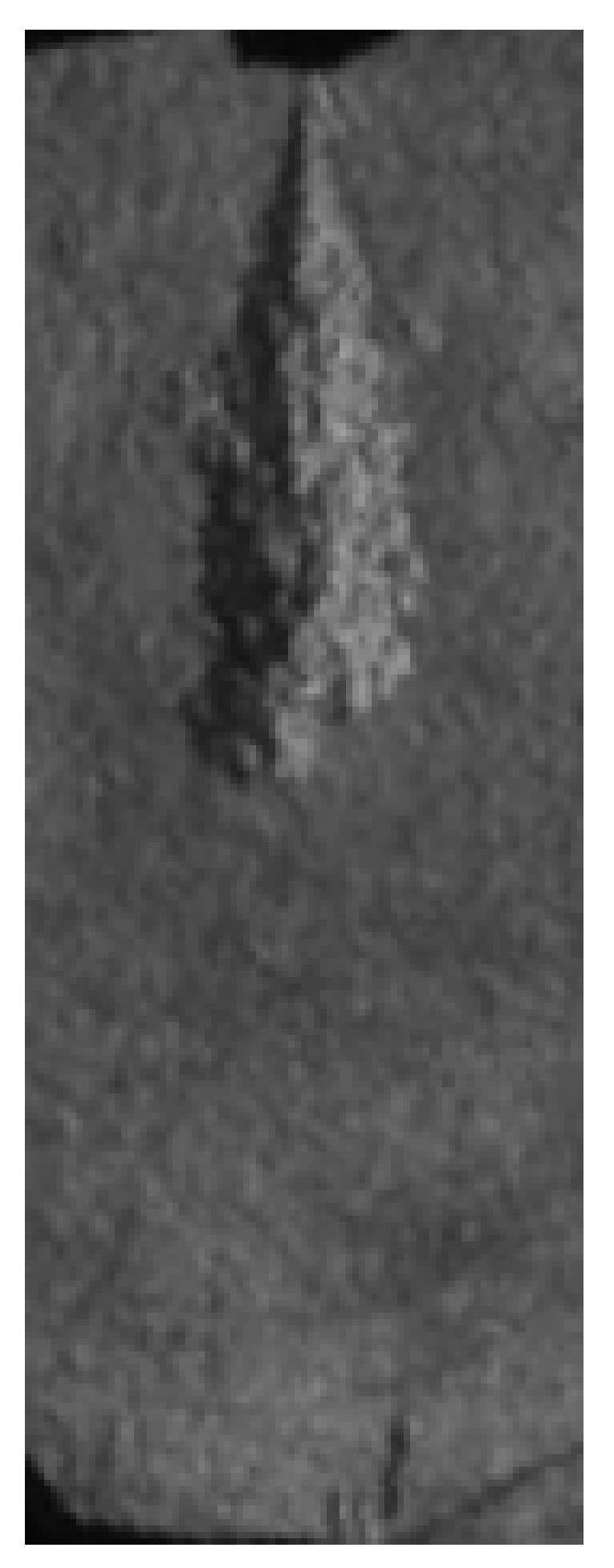 Applsci 14 11317 i009