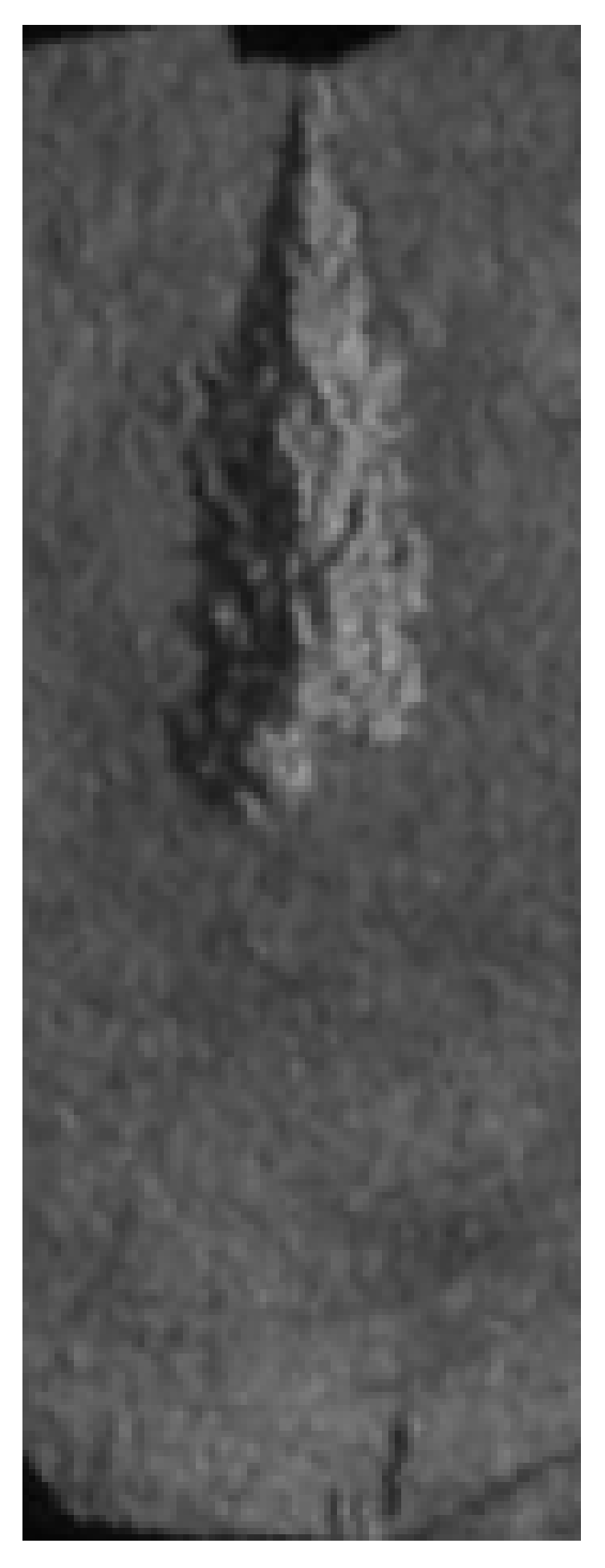 Applsci 14 11317 i010