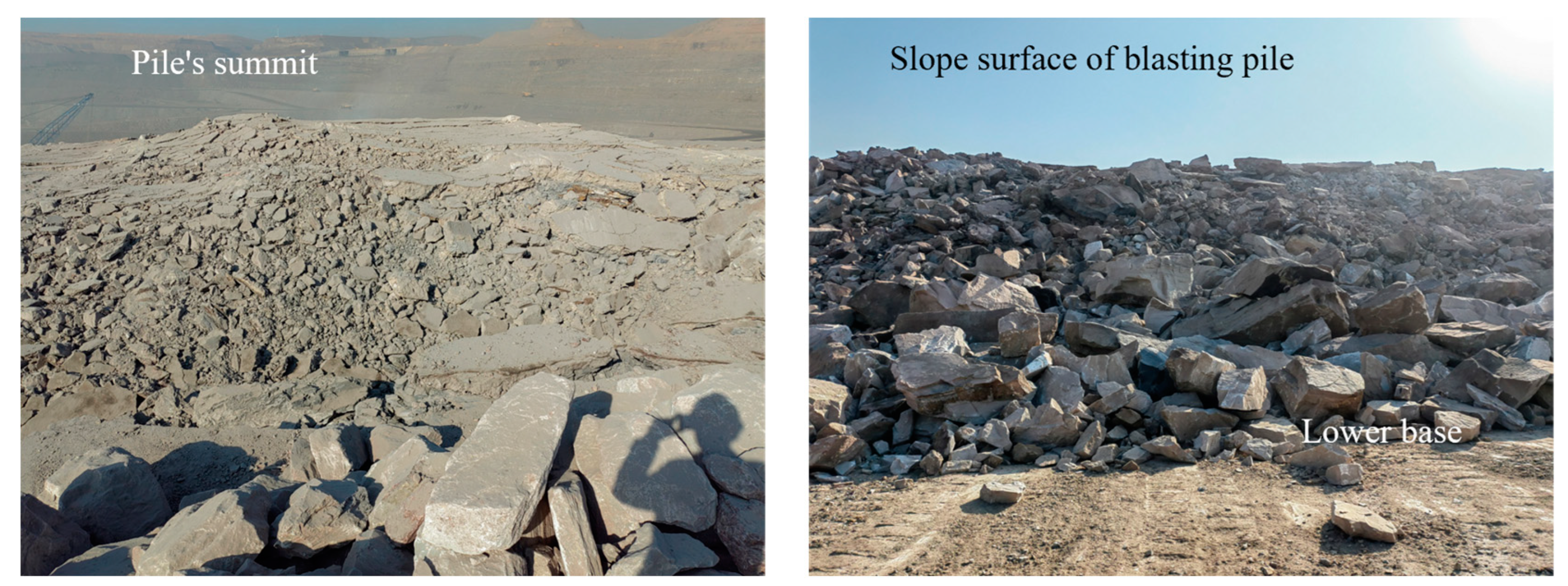 Applsci 14 11351 g002