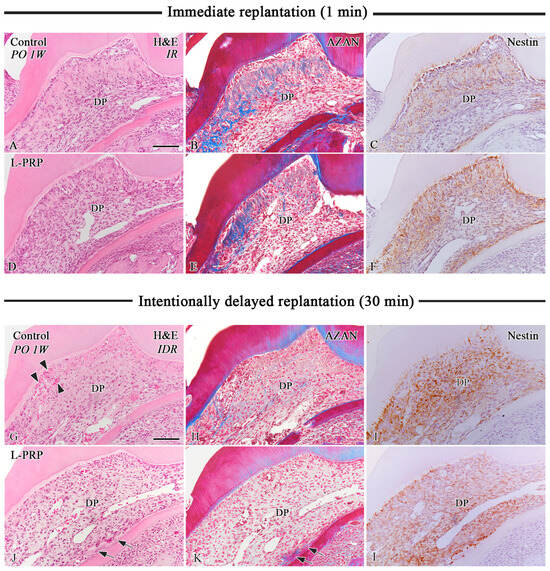 Applsci 14 11358 g001