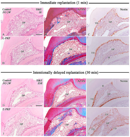 Applsci 14 11358 g002