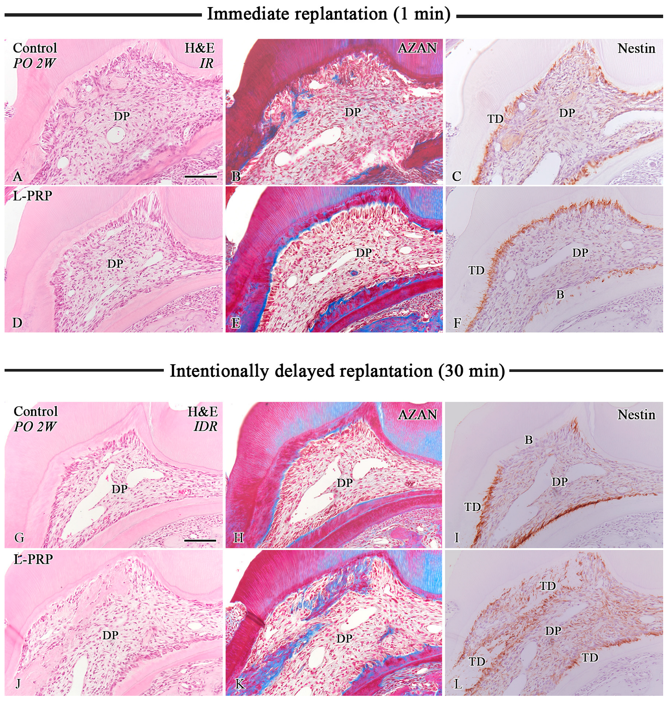 Applsci 14 11358 g002