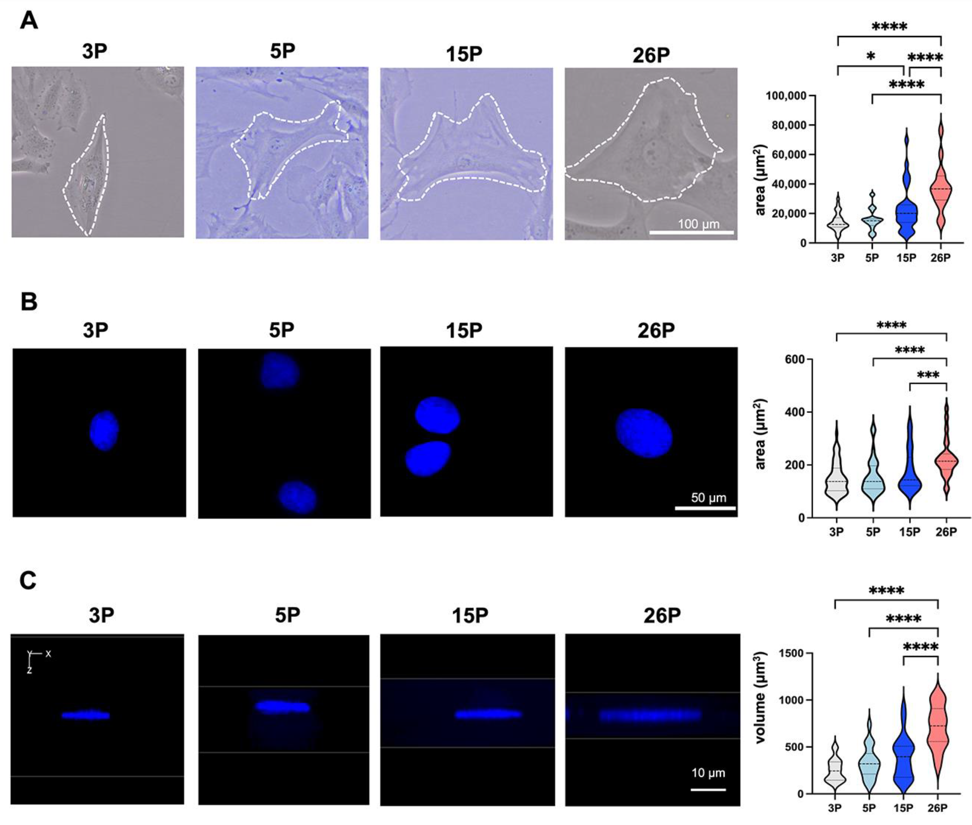 Applsci 14 11376 g003