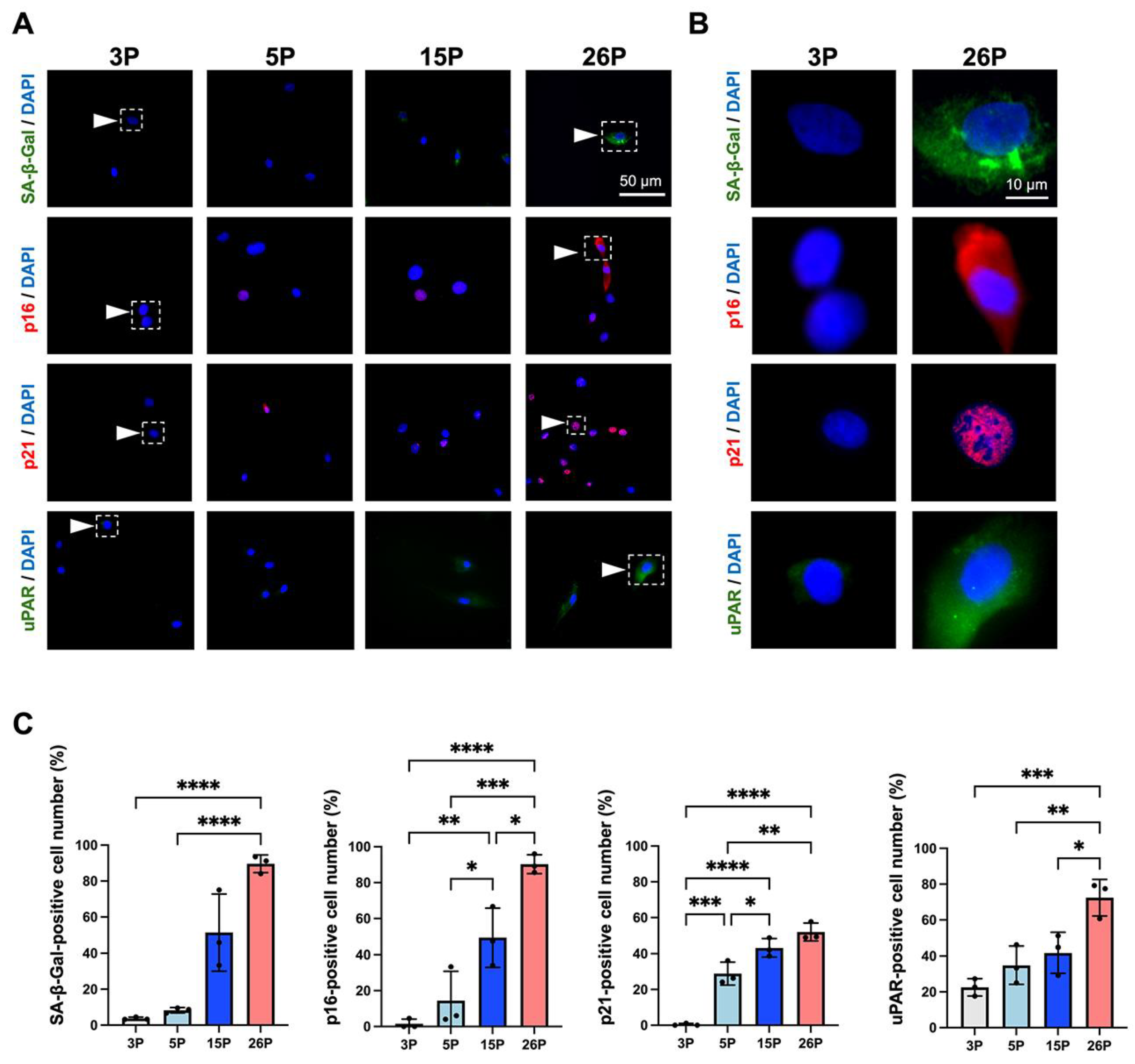 Applsci 14 11376 g007