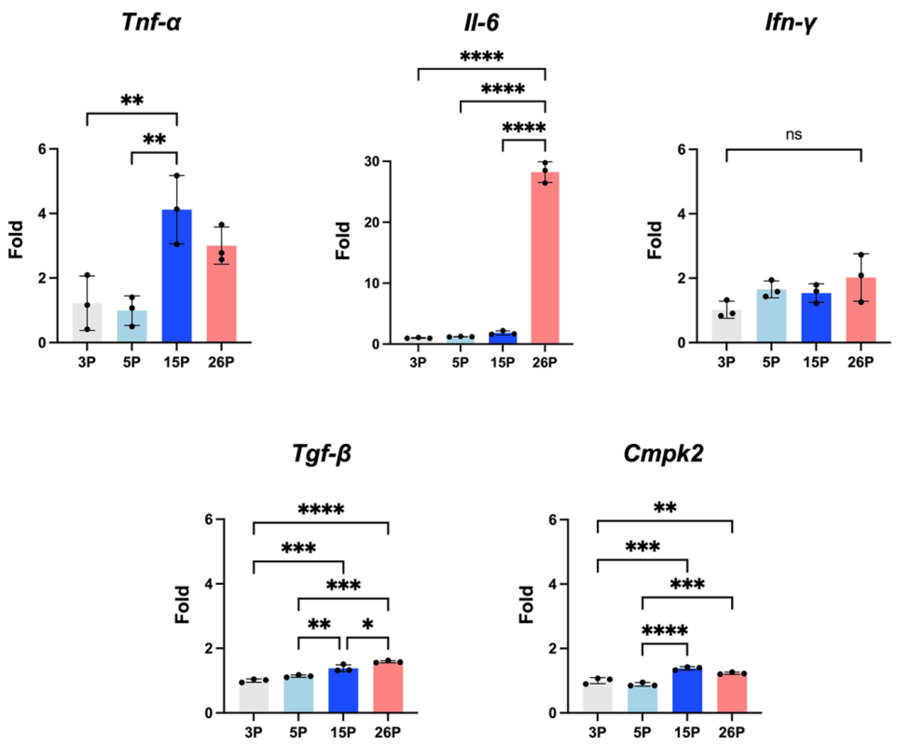 Applsci 14 11376 g008
