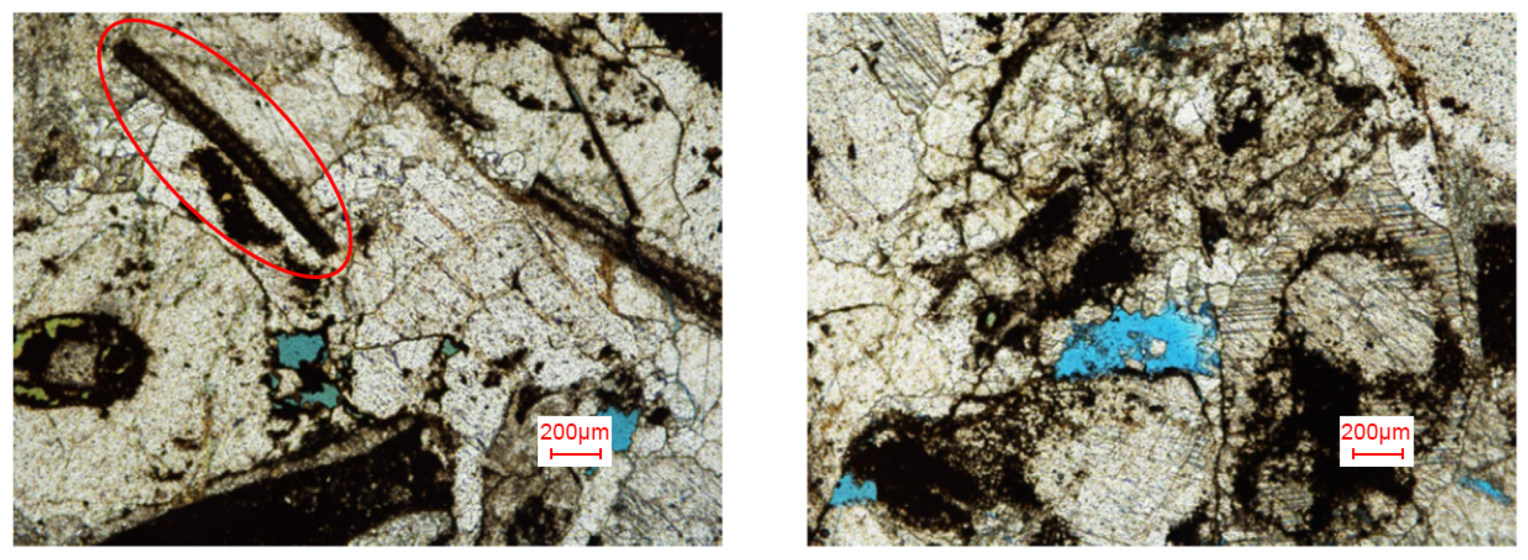 Applsci 14 11385 g007