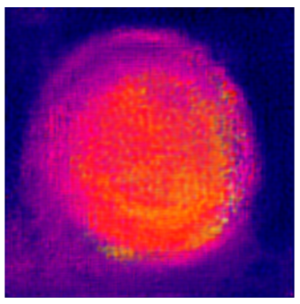 Applsci 14 11391 i011