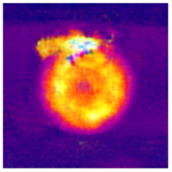 Applsci 14 11391 i015