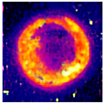 Applsci 14 11391 i016