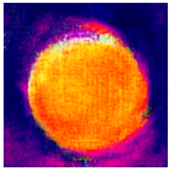 Applsci 14 11391 i017