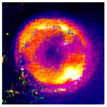 Applsci 14 11391 i019