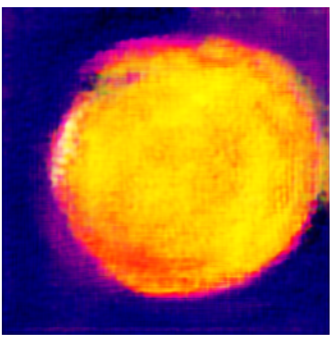 Applsci 14 11391 i020