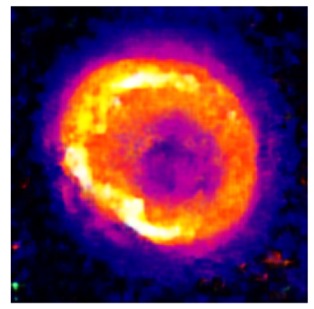 Applsci 14 11391 i022