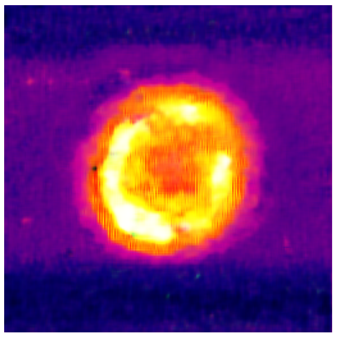 Applsci 14 11391 i024