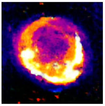 Applsci 14 11391 i025