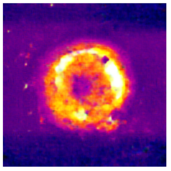 Applsci 14 11391 i027