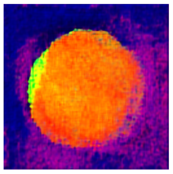 Applsci 14 11391 i029