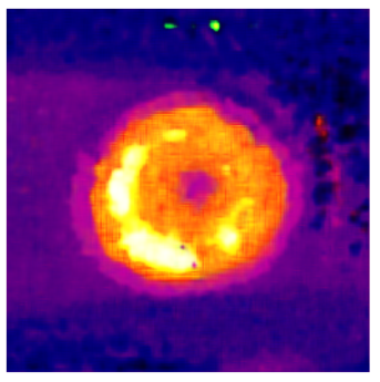 Applsci 14 11391 i030