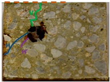 Applsci 14 11453 i003