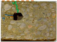 Applsci 14 11453 i004