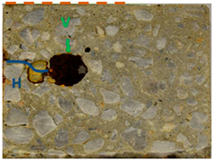 Applsci 14 11453 i007