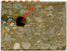 Applsci 14 11453 i008