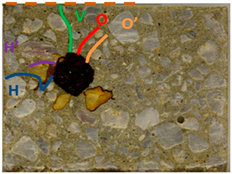 Applsci 14 11453 i009