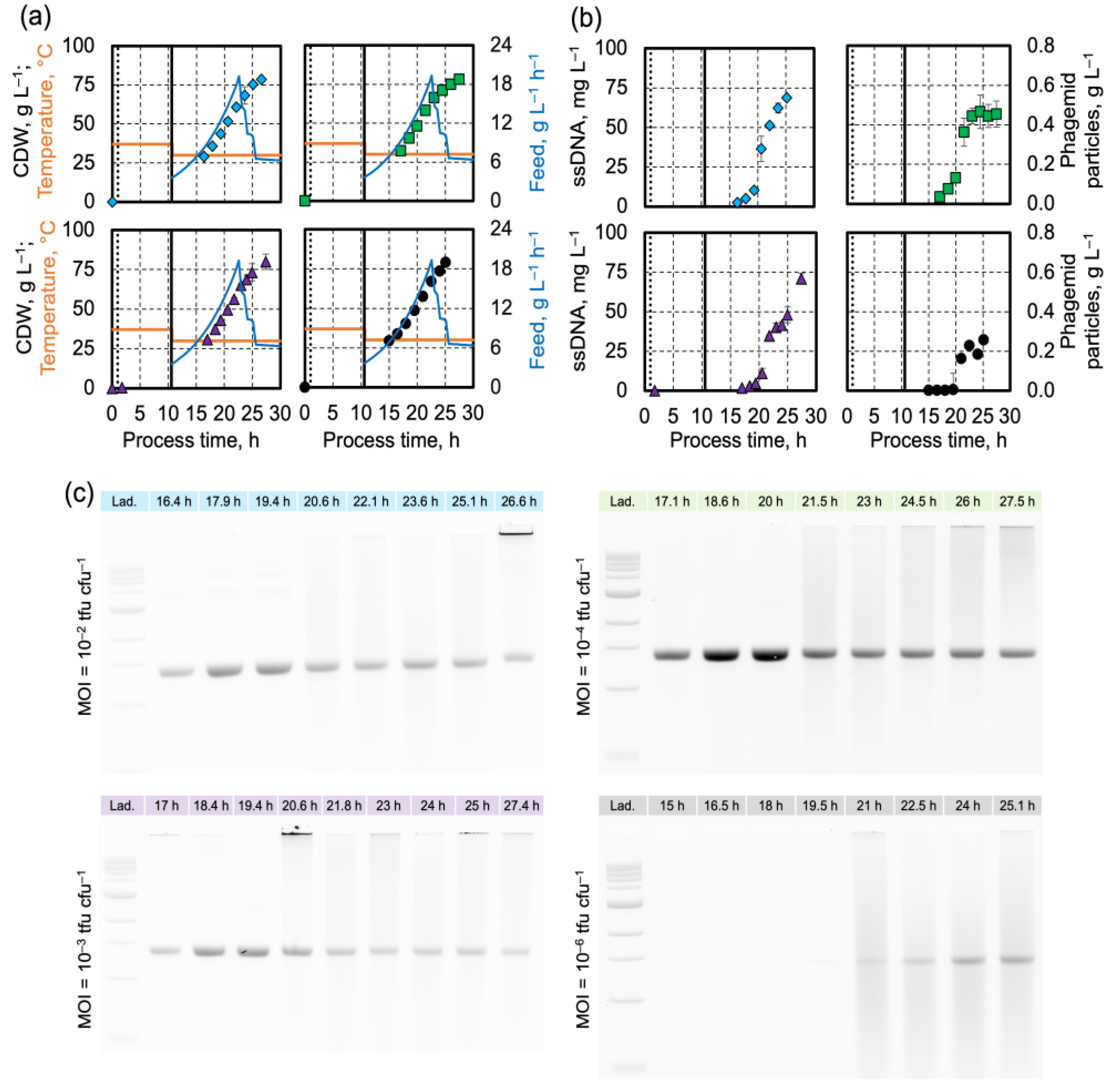 Applsci 14 11459 g001