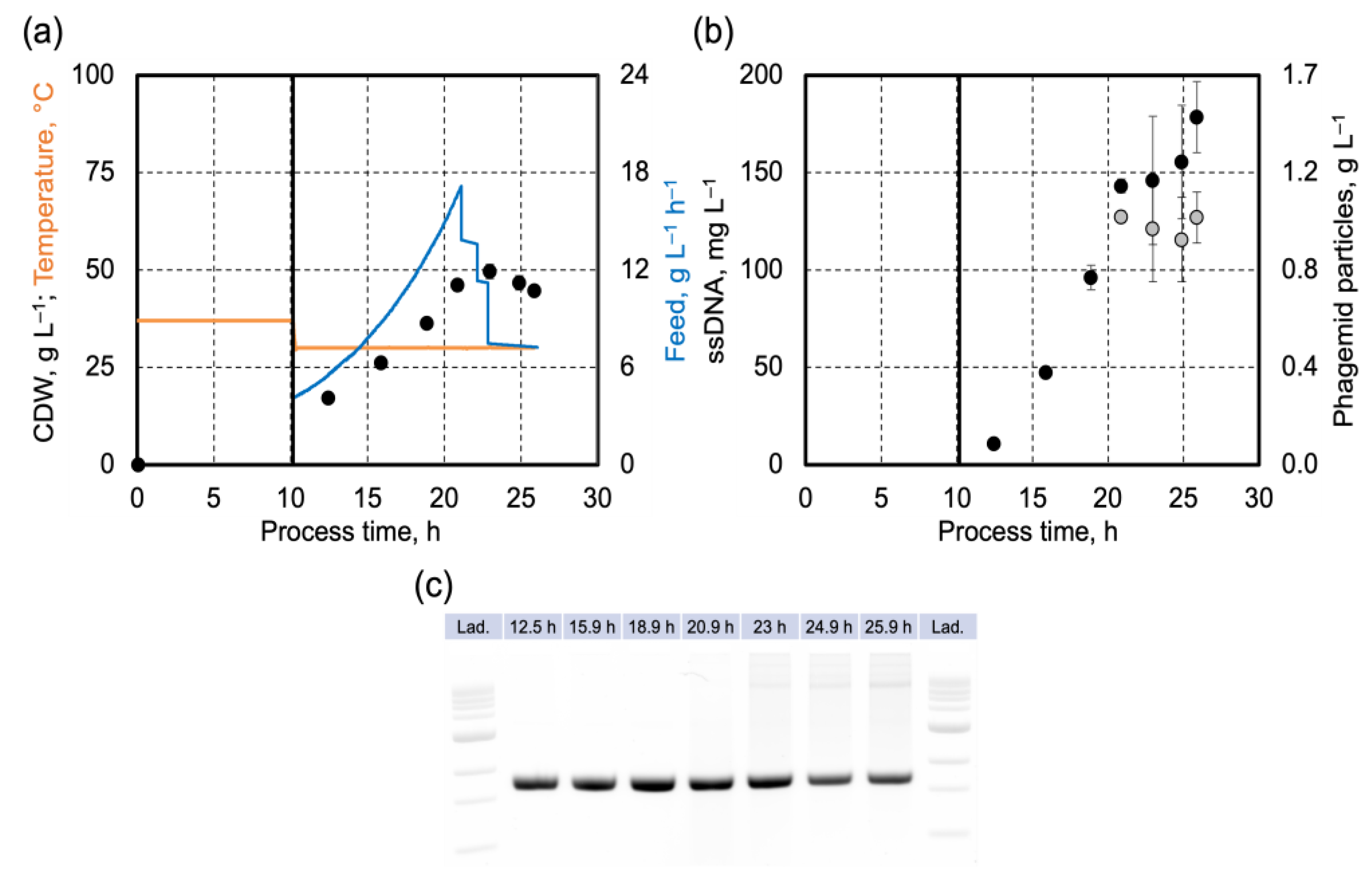 Applsci 14 11459 g002