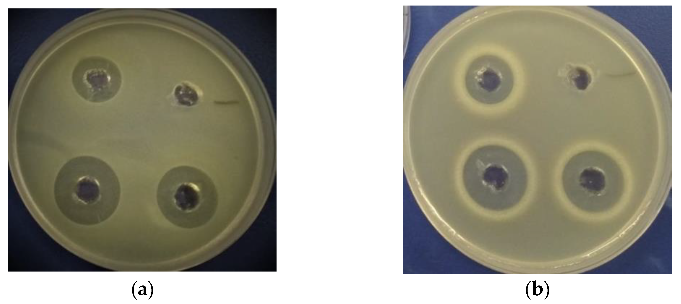 Applsci 14 11469 g002