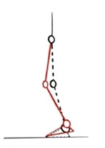 Applsci 14 11480 i002