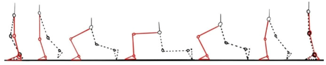 Applsci 14 11480 i010