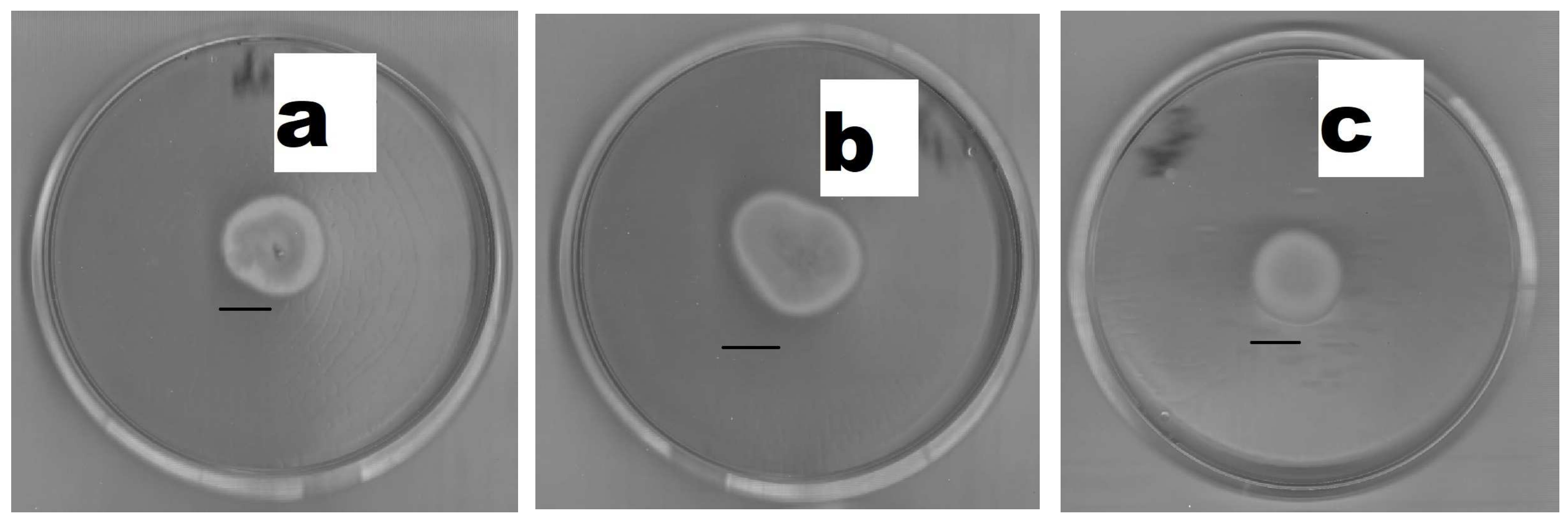 Applsci 14 11508 g003