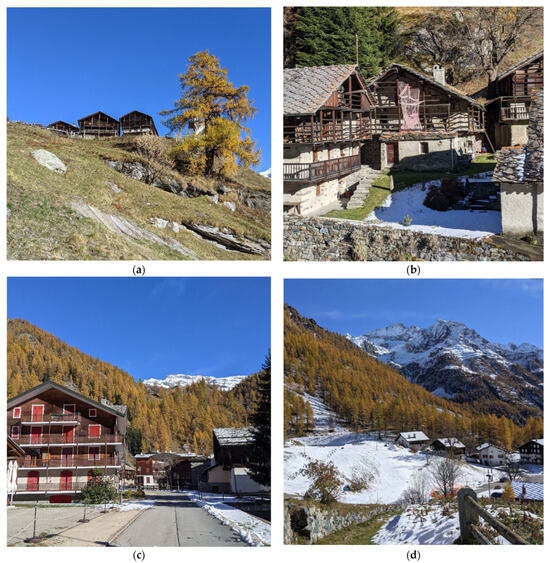 Applsci 14 11524 g012