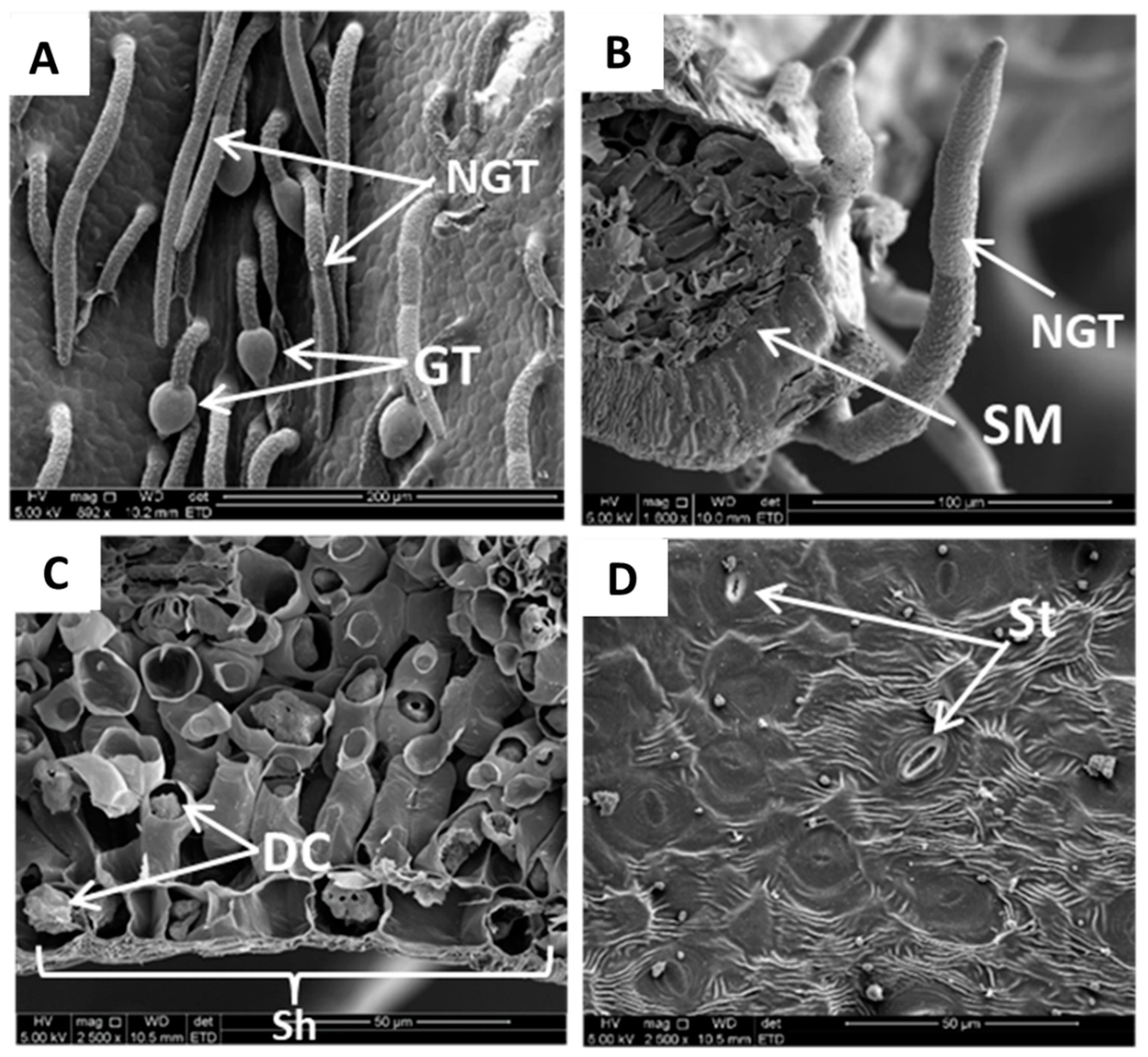 Applsci 14 11540 g003