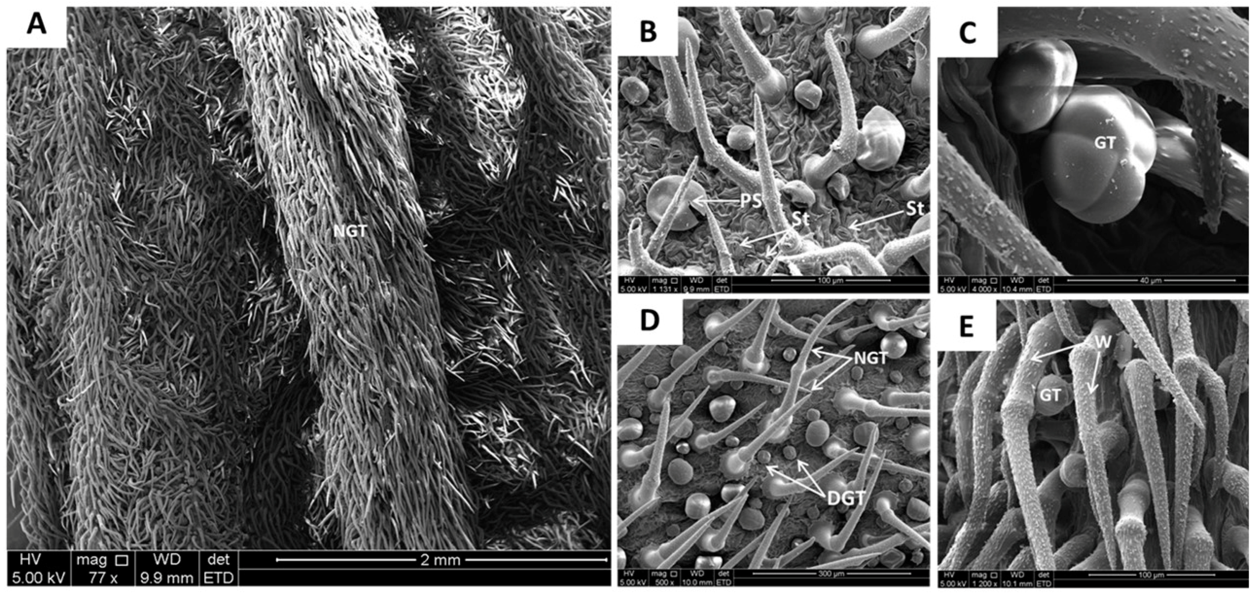 Applsci 14 11540 g004