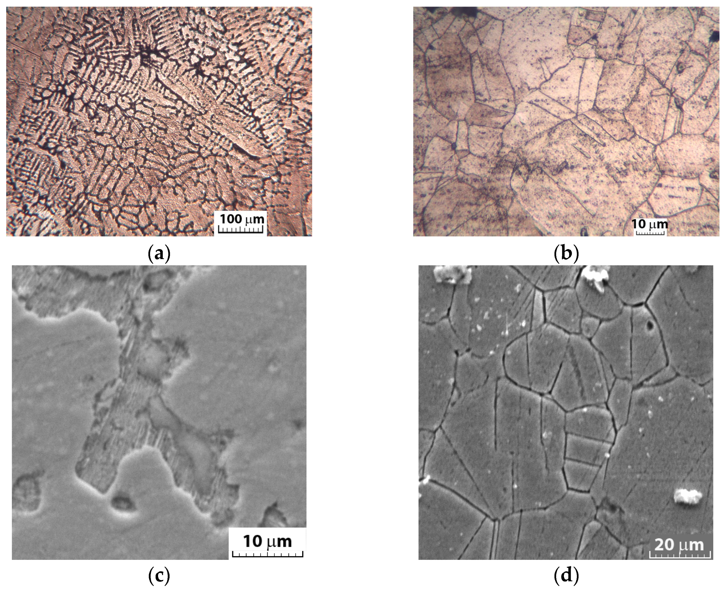 Applsci 14 11574 g003