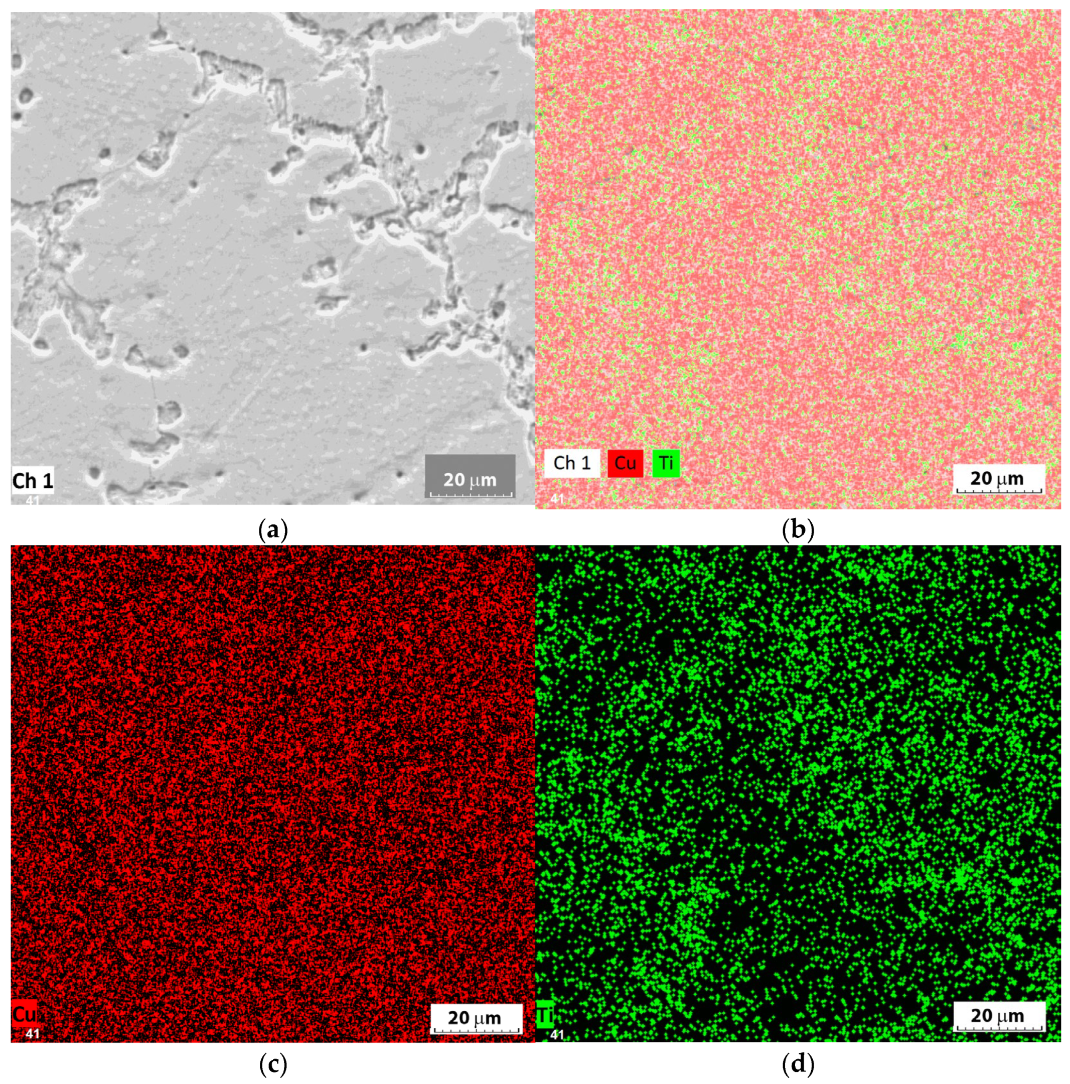 Applsci 14 11574 g004