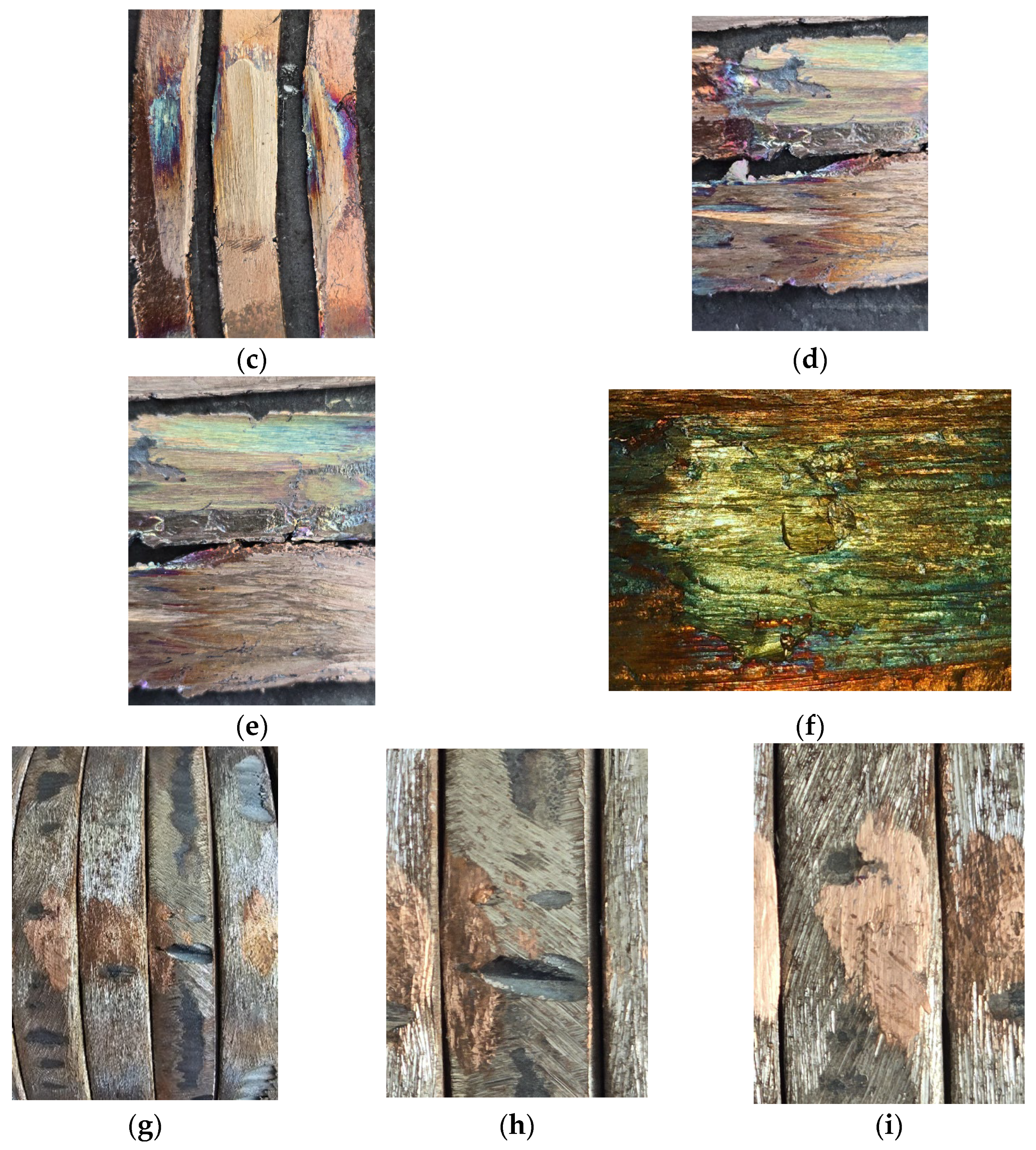 Applsci 14 11574 g010b