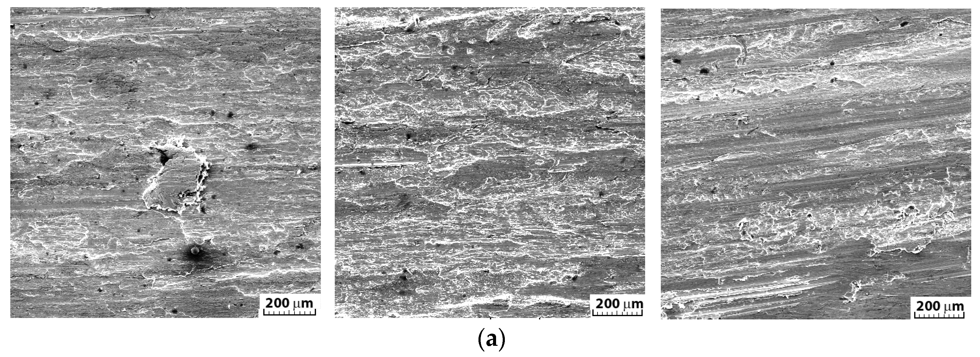 Applsci 14 11574 g011a