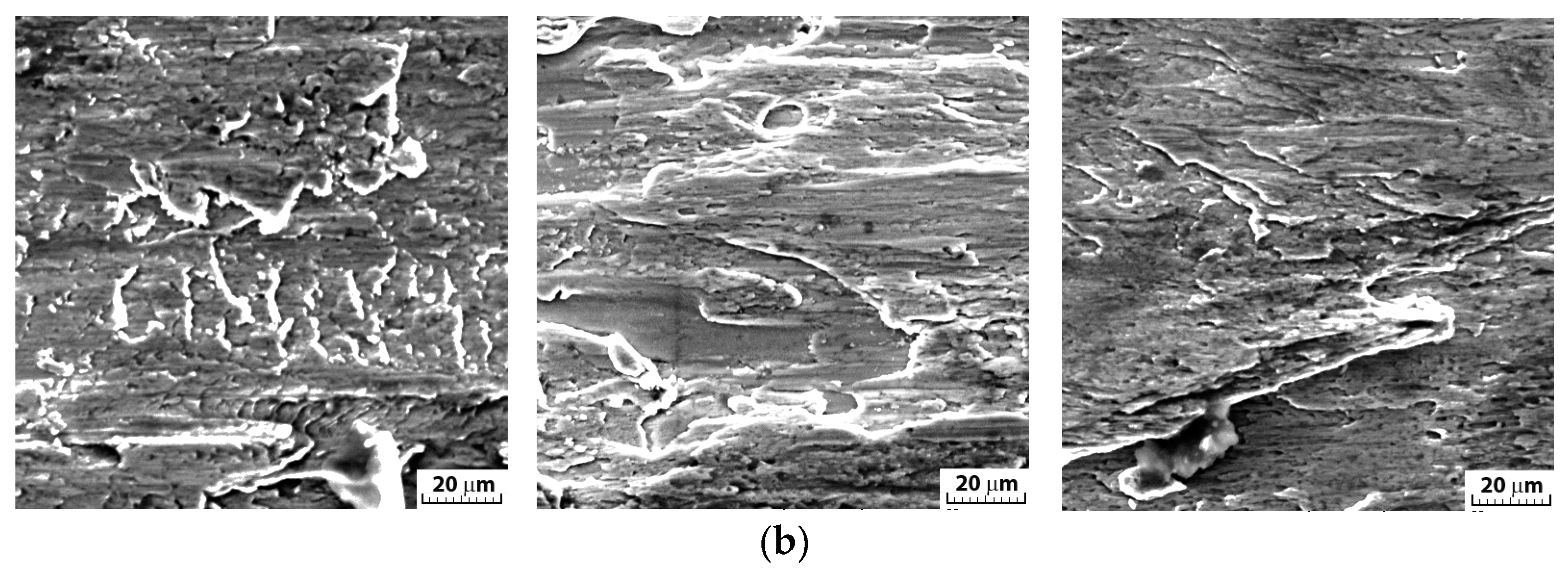 Applsci 14 11574 g011b