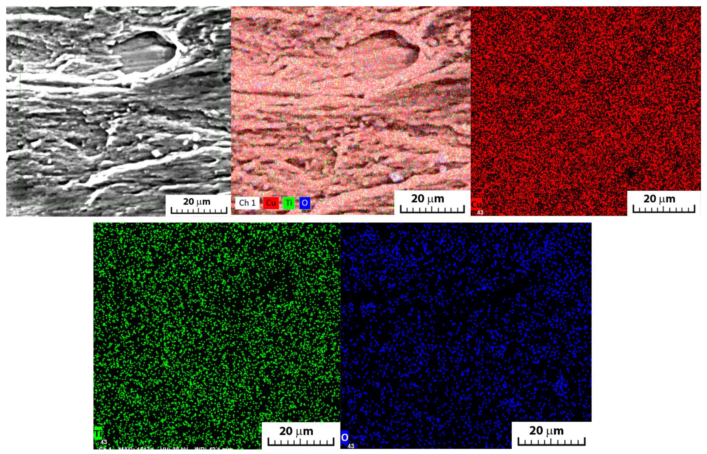 Applsci 14 11574 g013