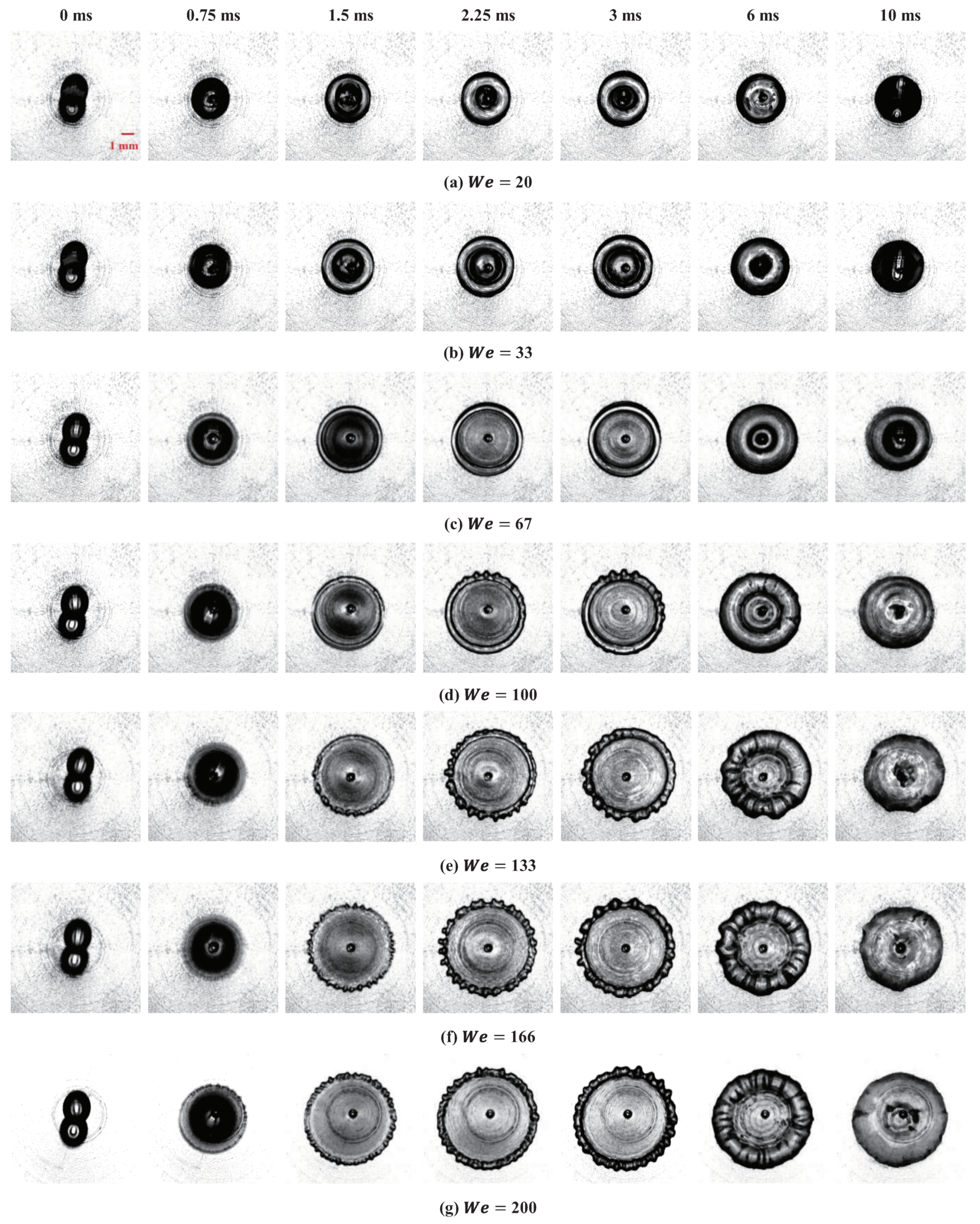 Applsci 14 11608 g002