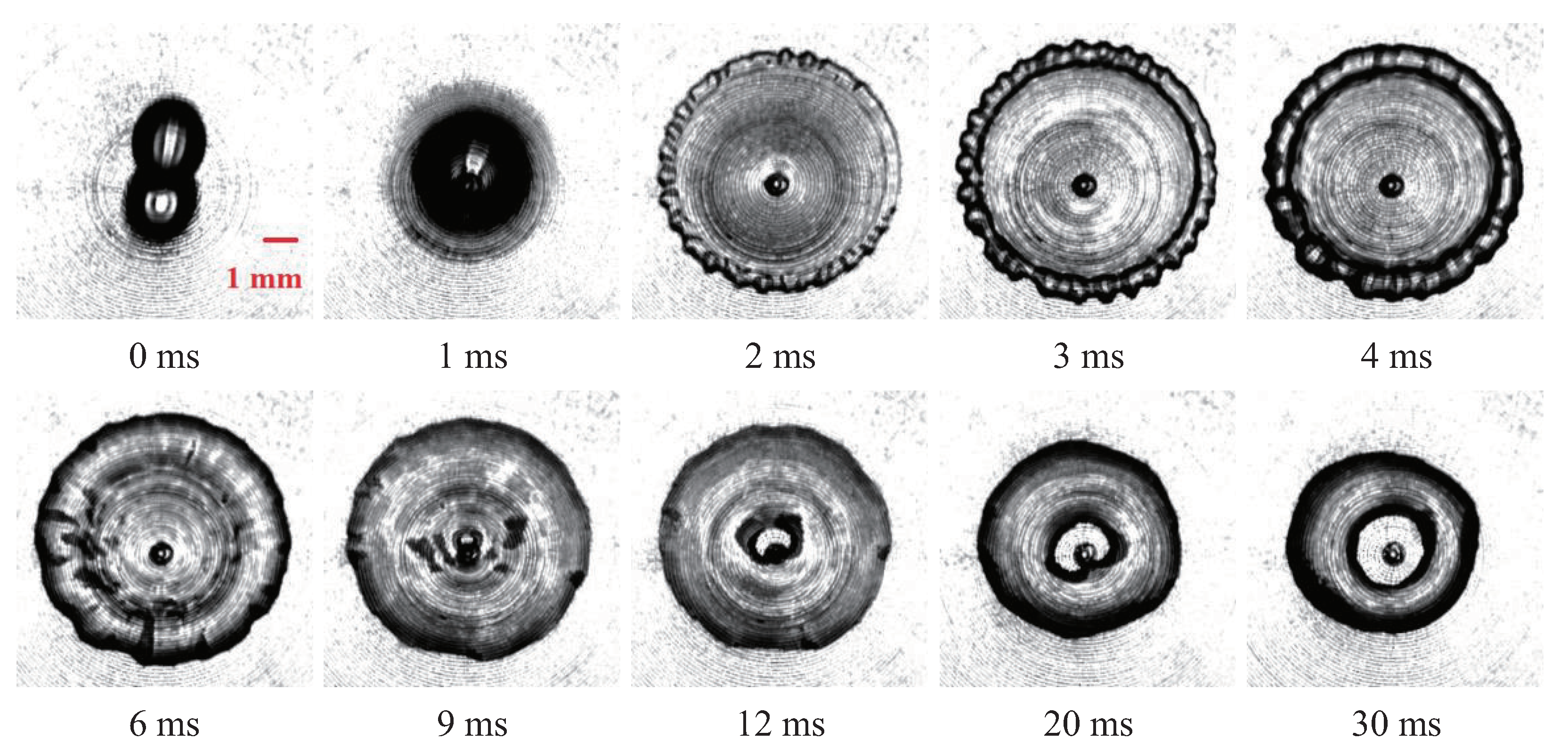 Applsci 14 11608 g004