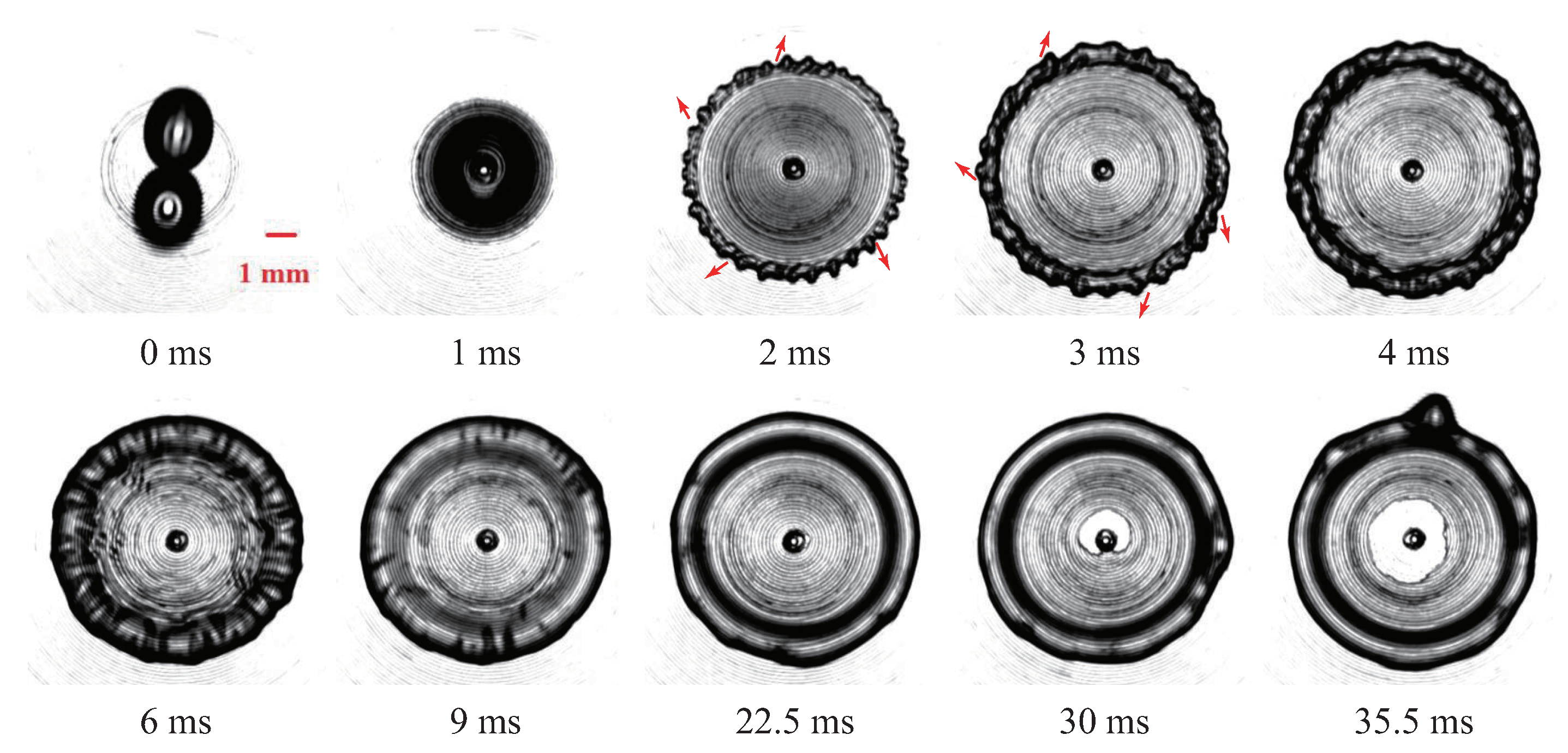 Applsci 14 11608 g005